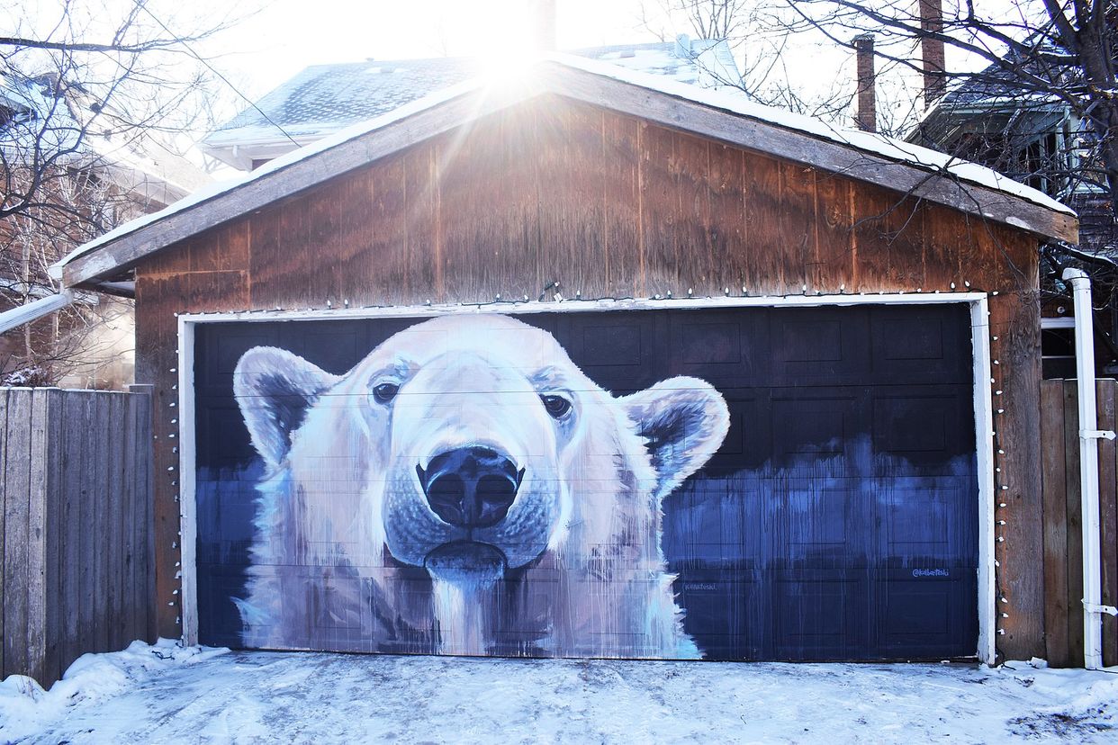 Back Alley Arctic