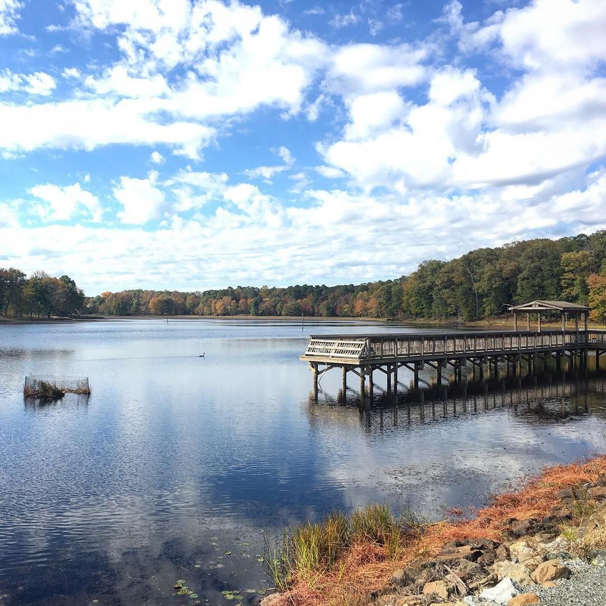 Cash Lake