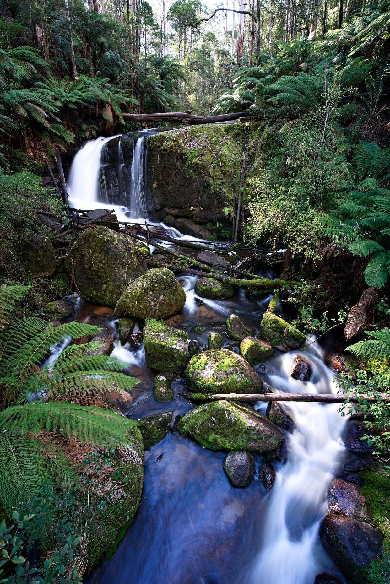Amphitheatre Falls