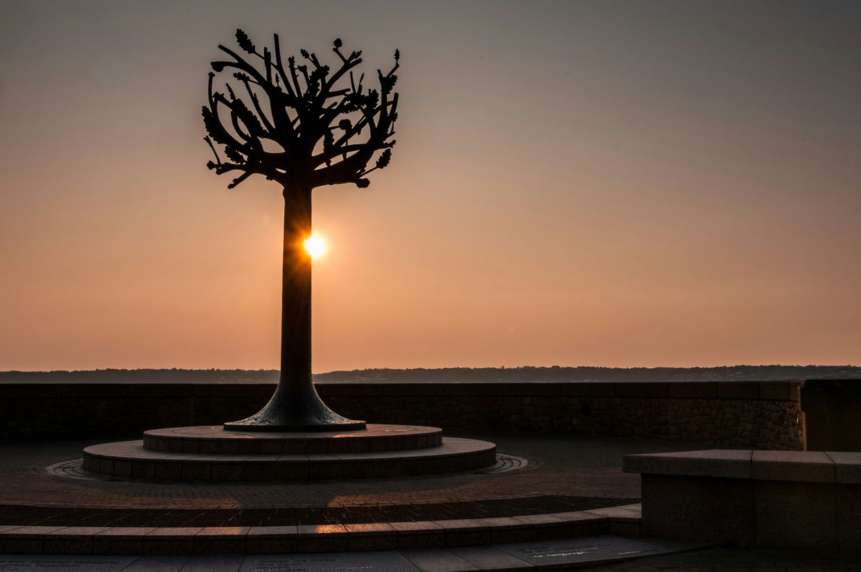The Freedom Tree