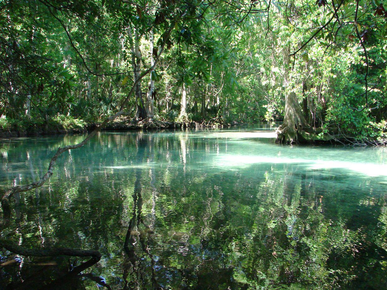  Weeki Wachee Springs