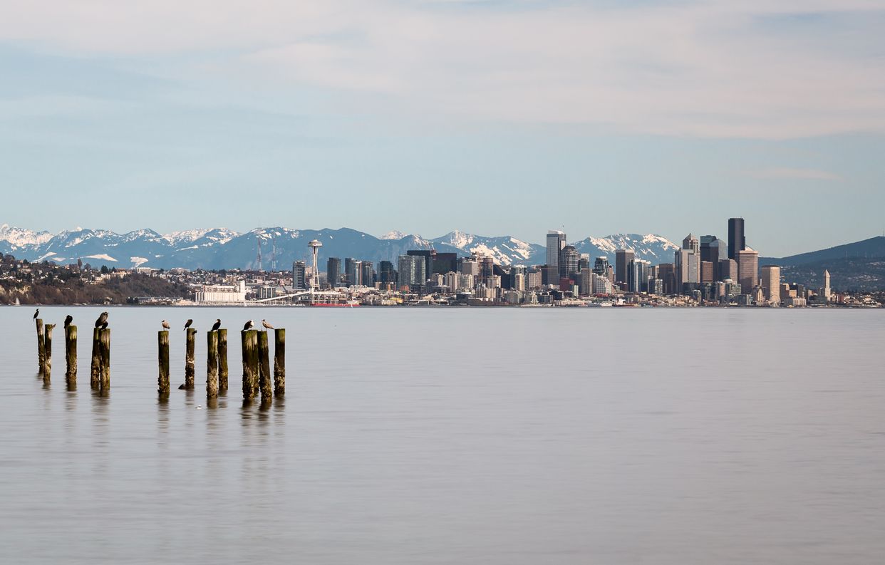 Seattle Cityscape Viewpoint