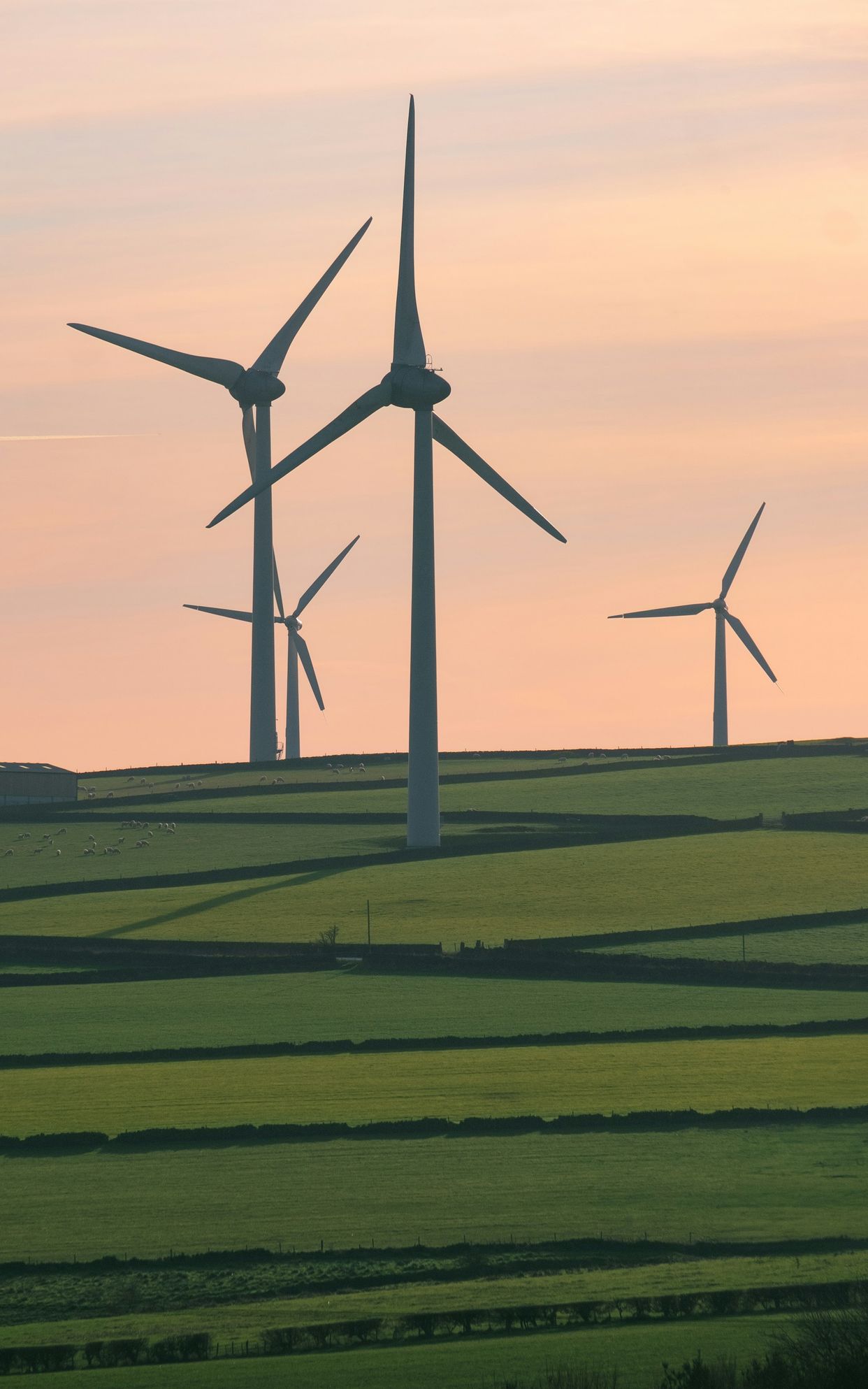 Royd Moor Wind Farm