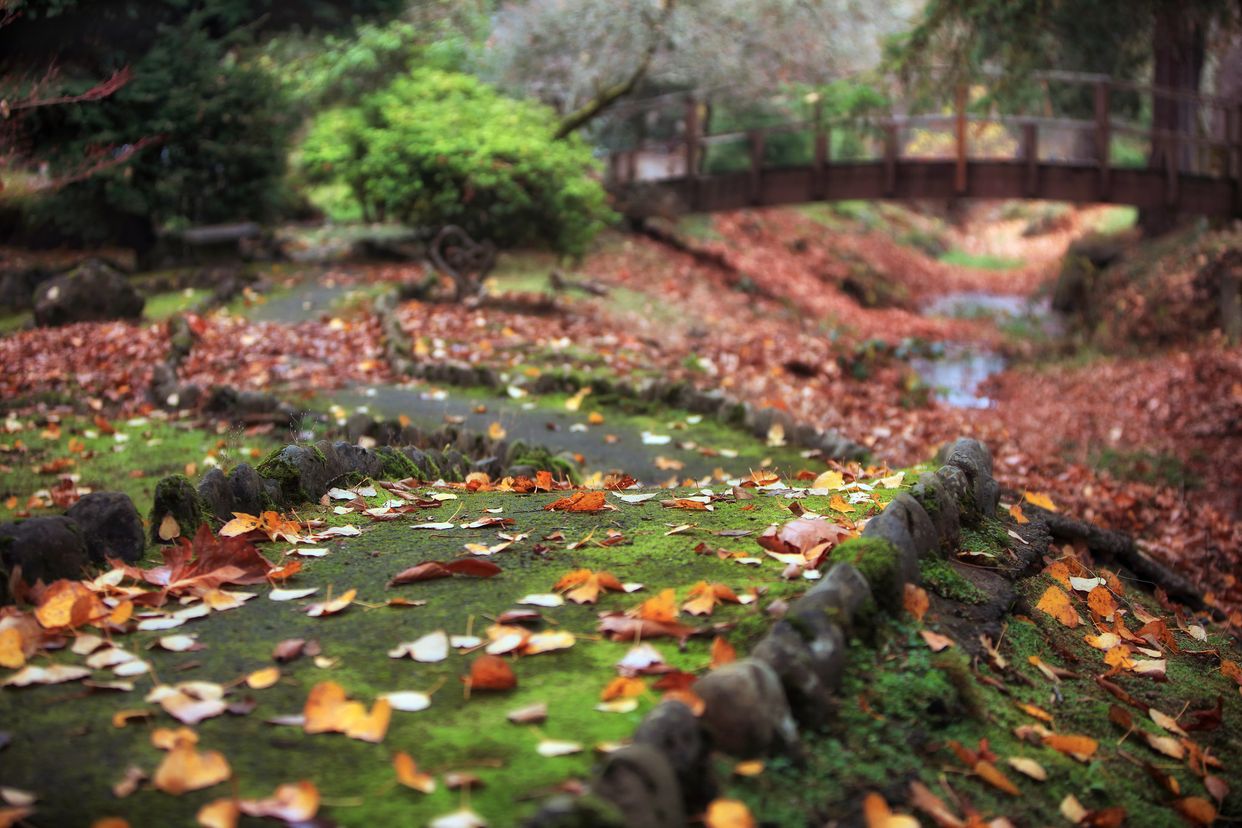 Dallas City Park