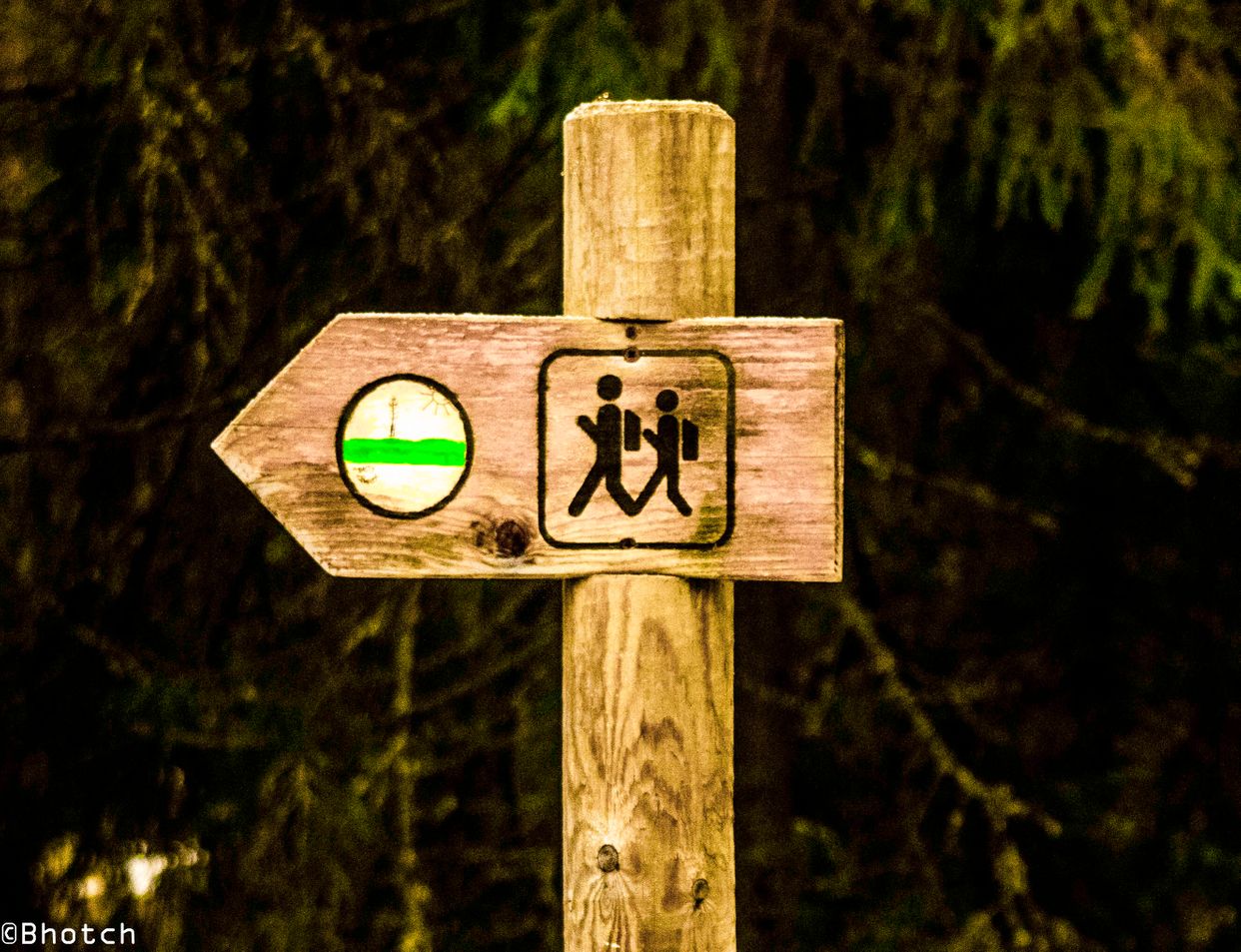 Viru Bog Trail