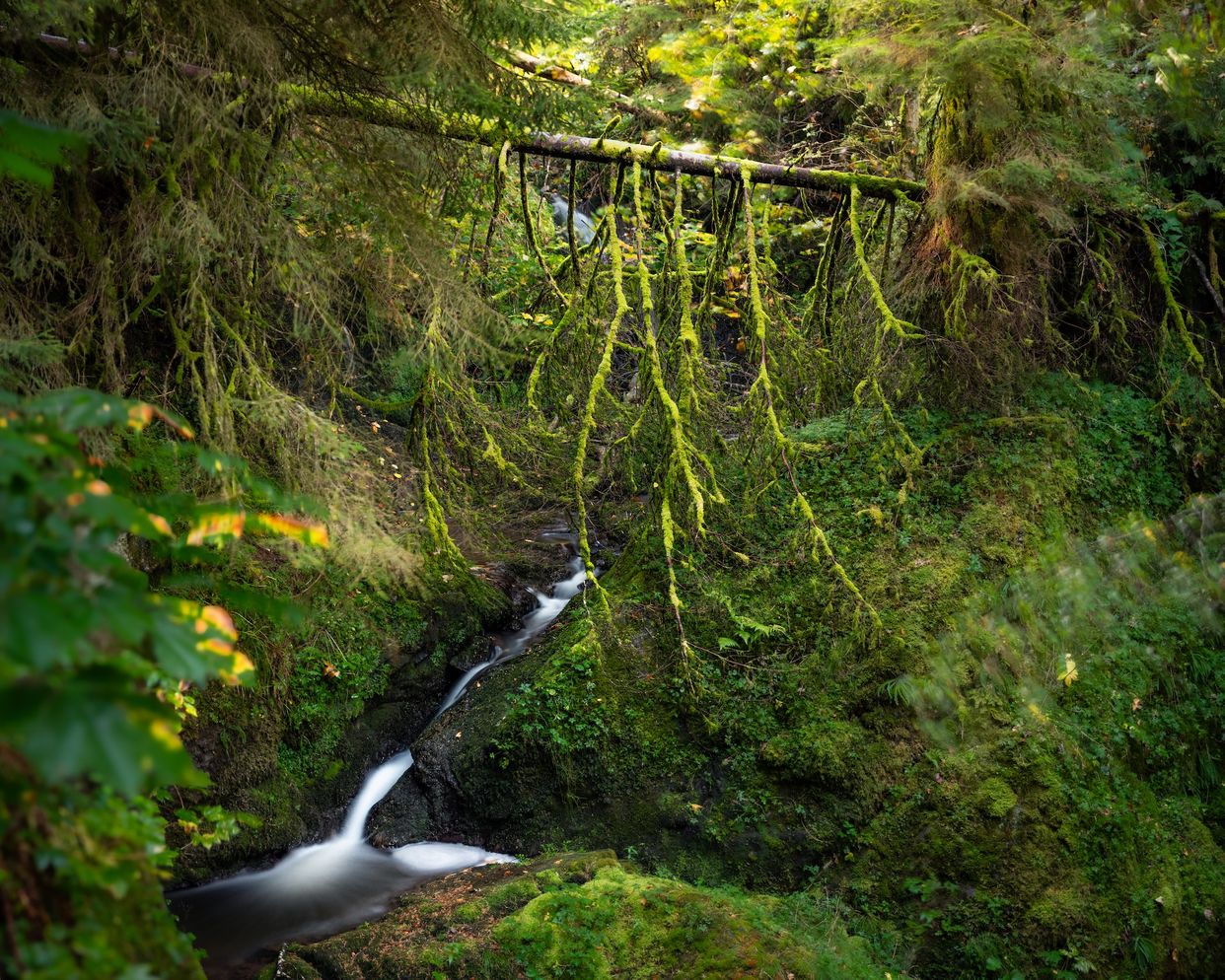 Wutachschlucht