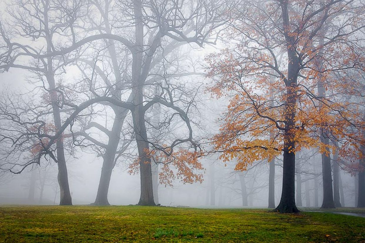 Druid Hill Park
