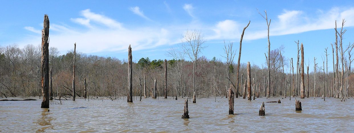 Morgan Creek Mudflats