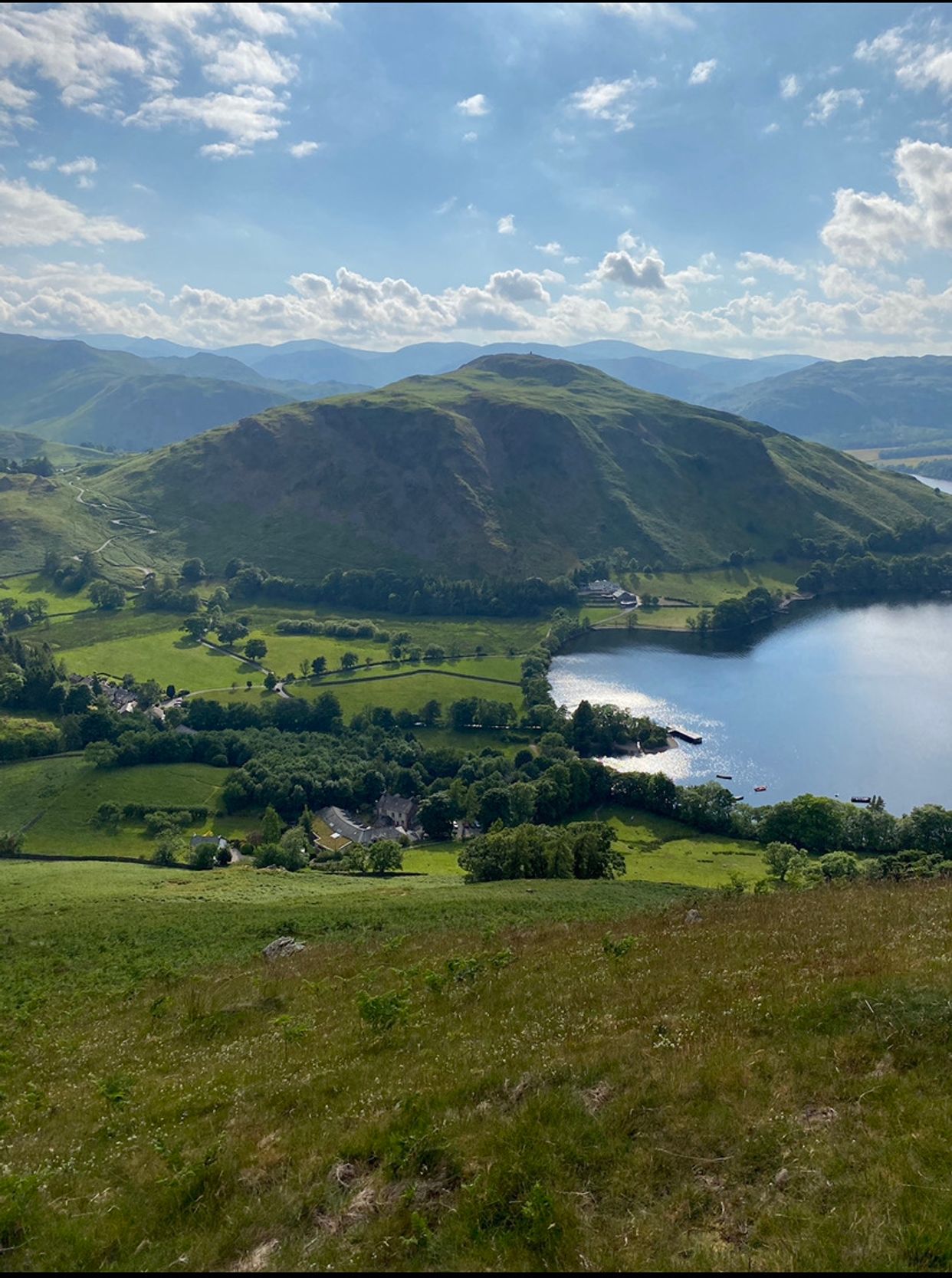 Bonscale Pike