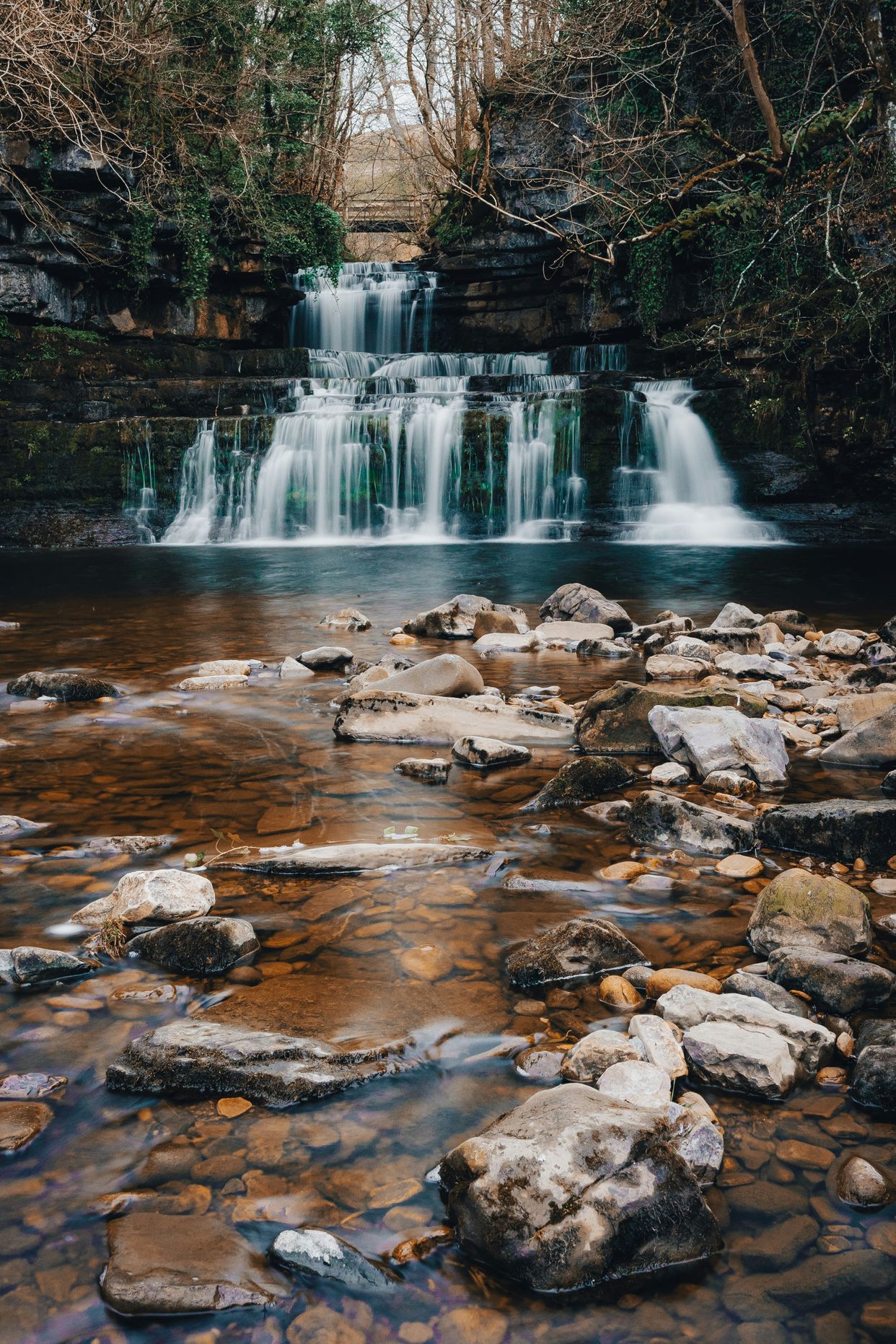 Cotter Force