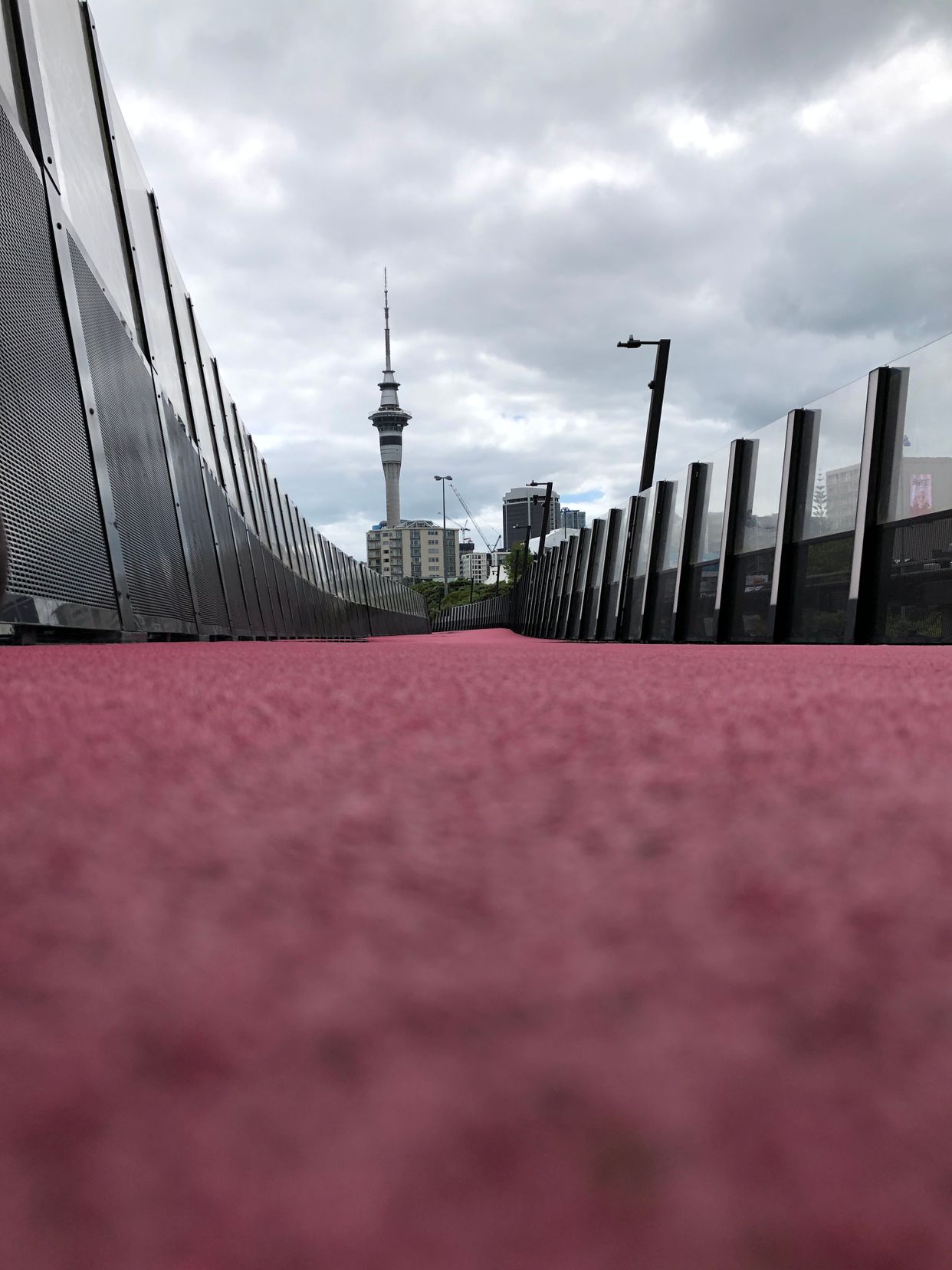 The Lightpath