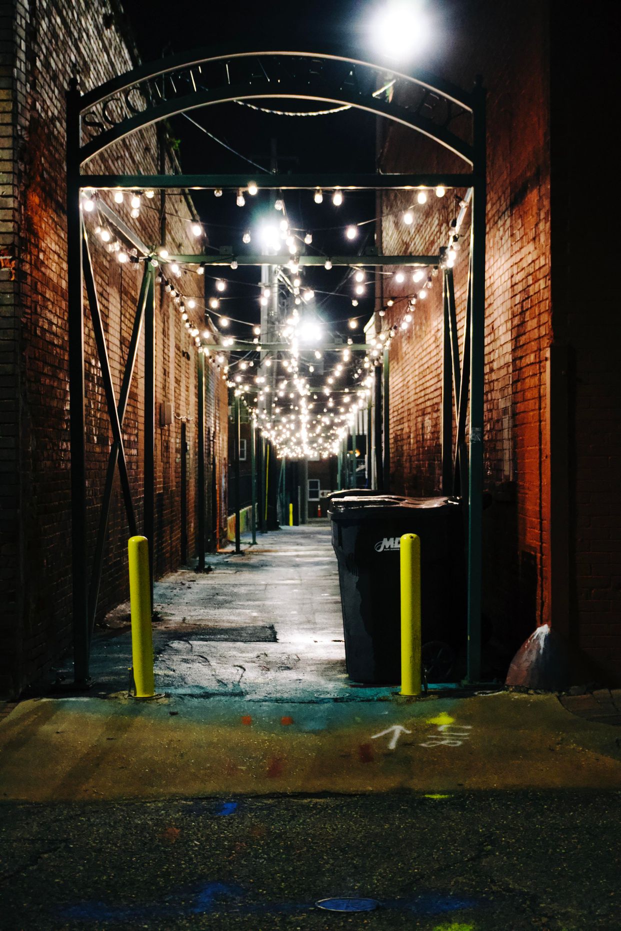 Scout Lane Alley E Troy St Entrance
