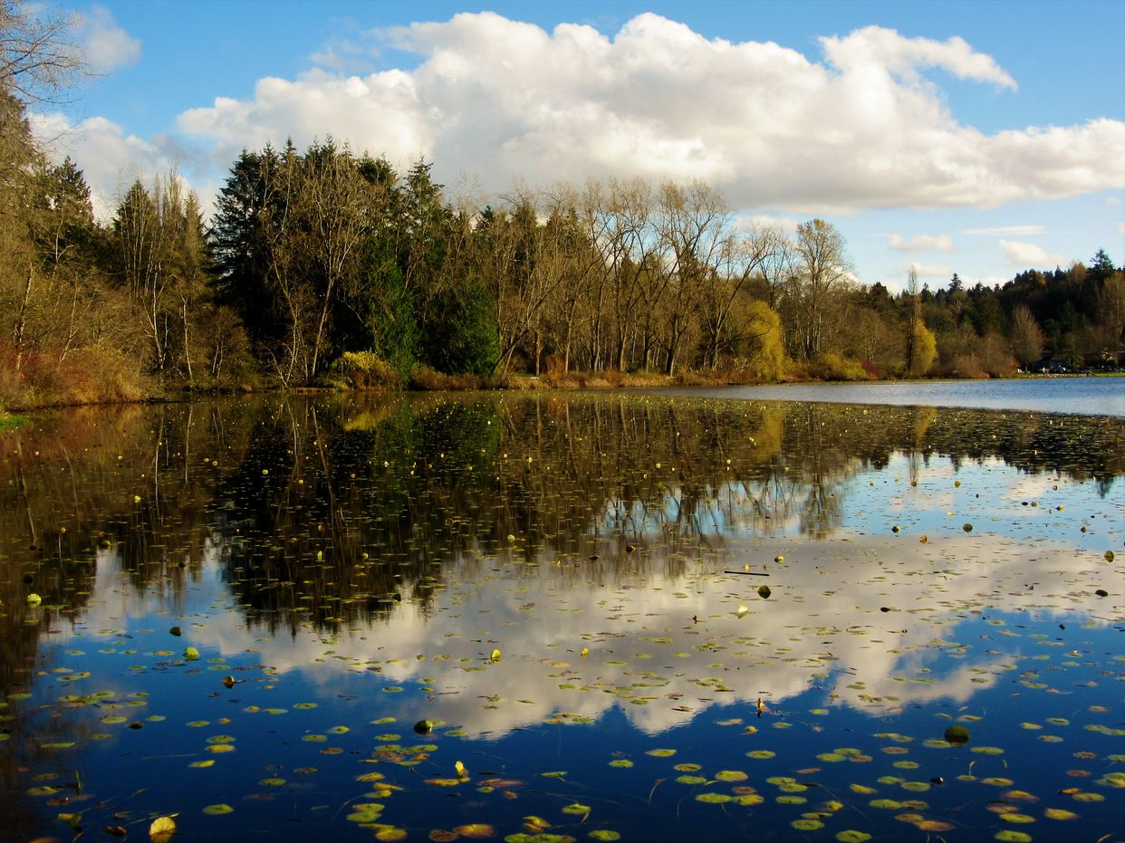 Deer Lake