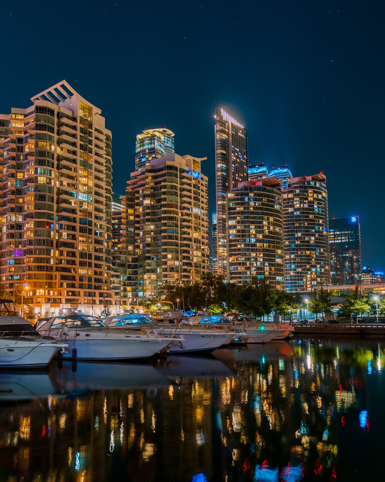 Harbourfront Park Cityscape