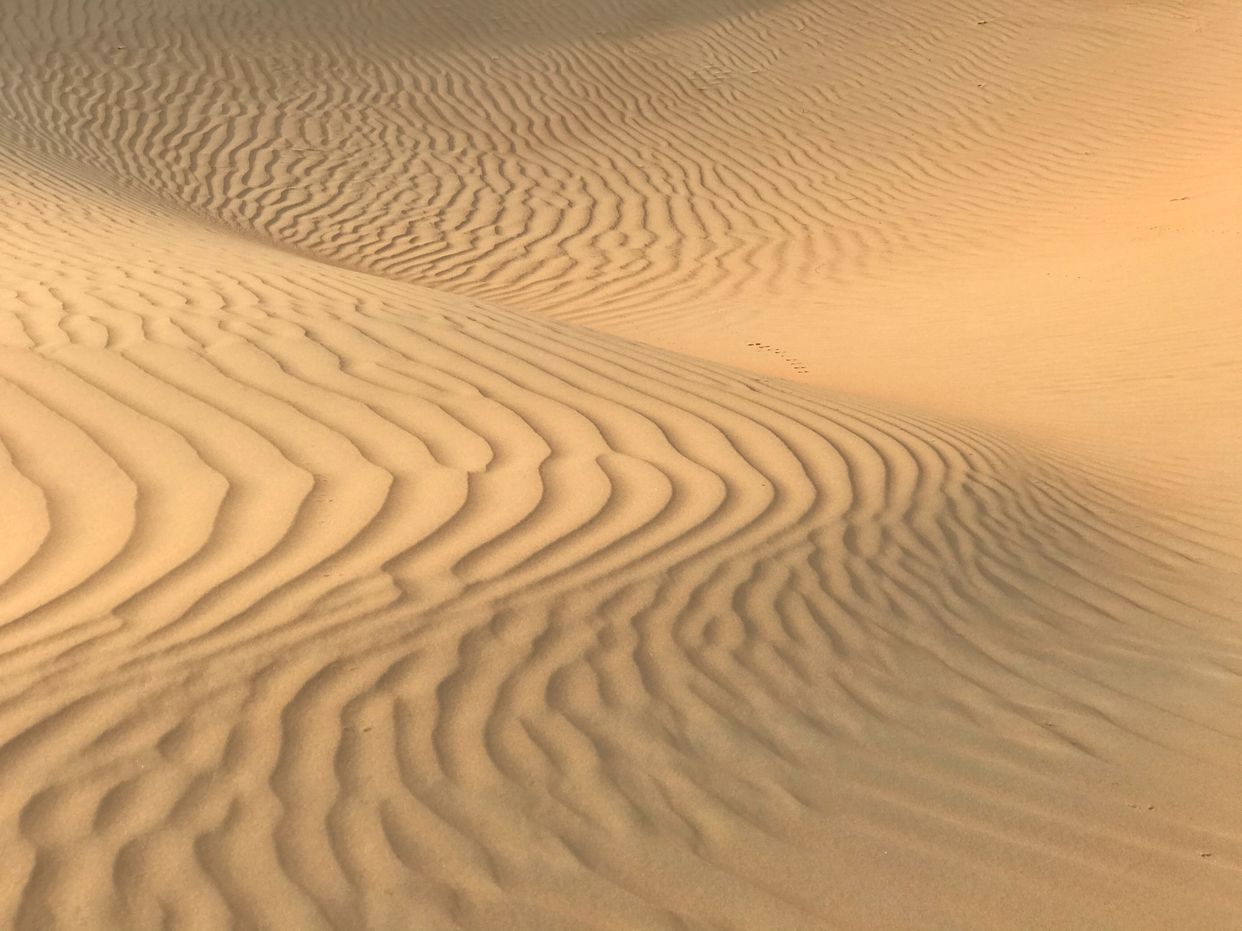 Christmas Valley Sand Dunes
