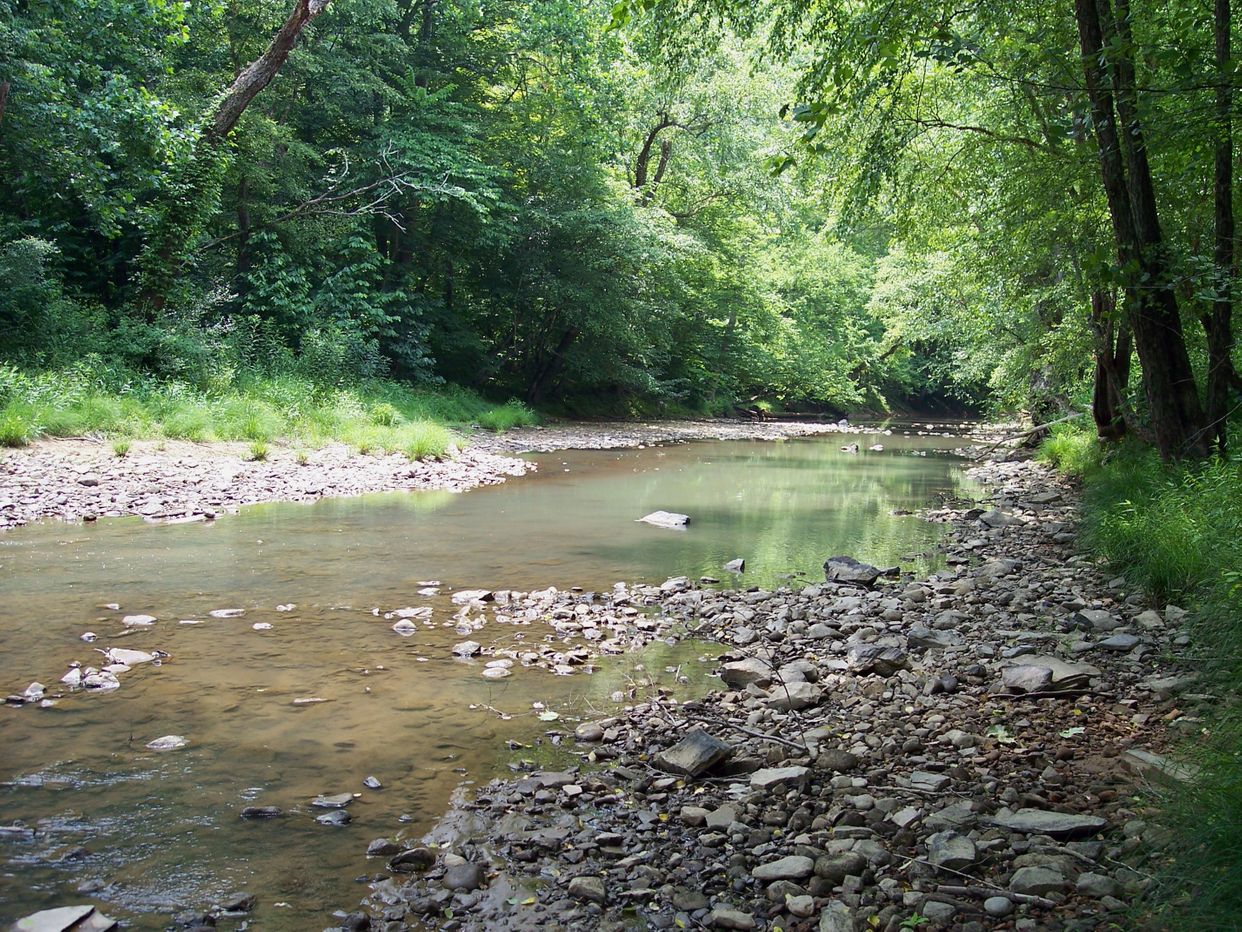 Right Fork of the Holly Rive