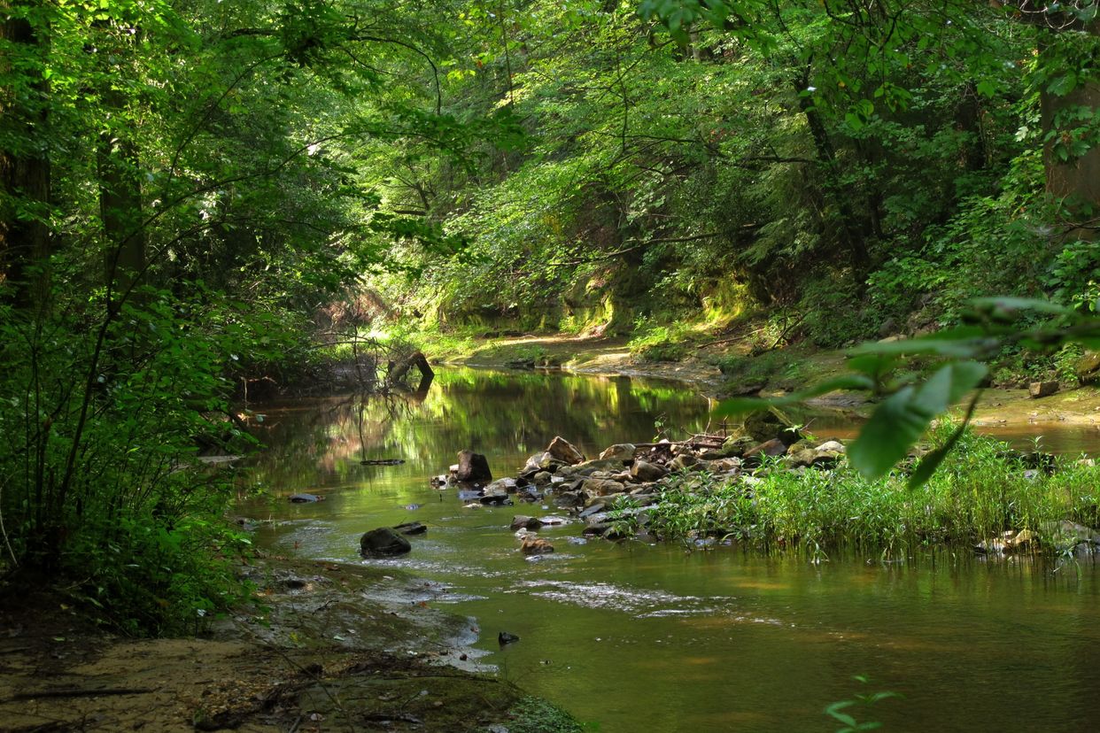Hubbard Creek