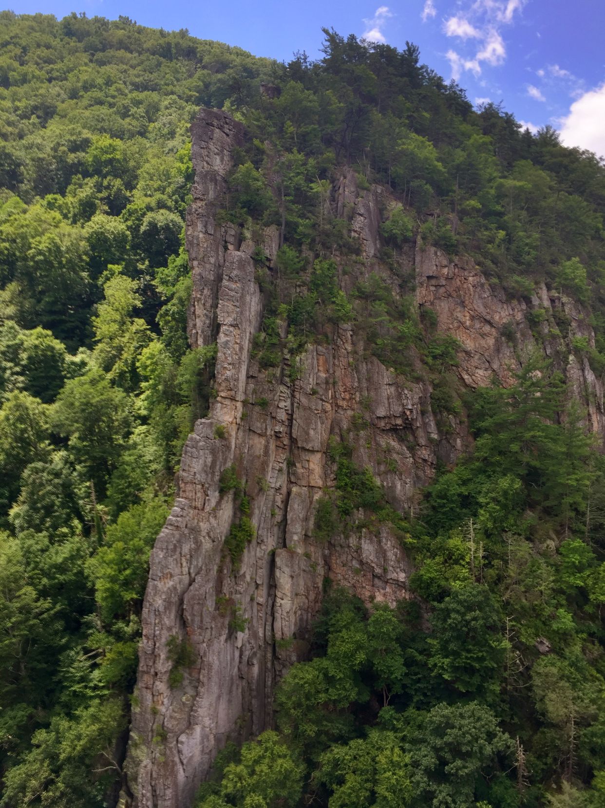 Southern Pillar