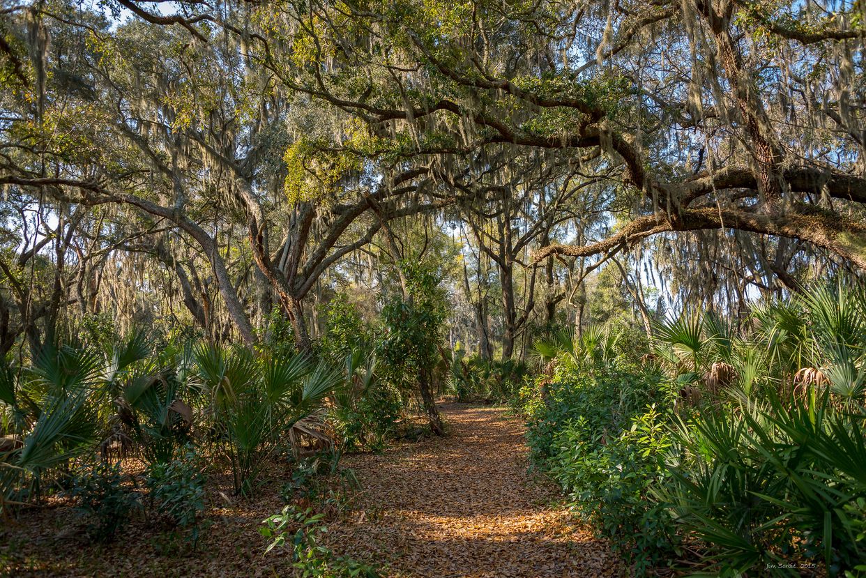 Riverside Trail