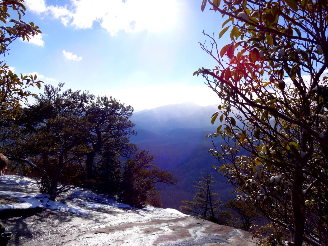 Pisgah National Forest