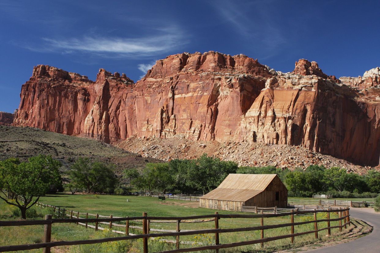 Fruita Landscape