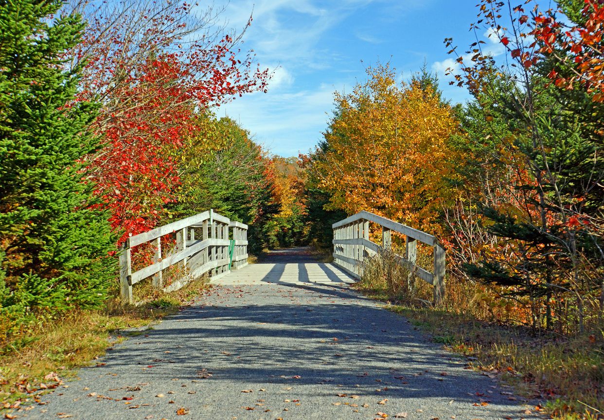 Trans Canada Trail Bridge