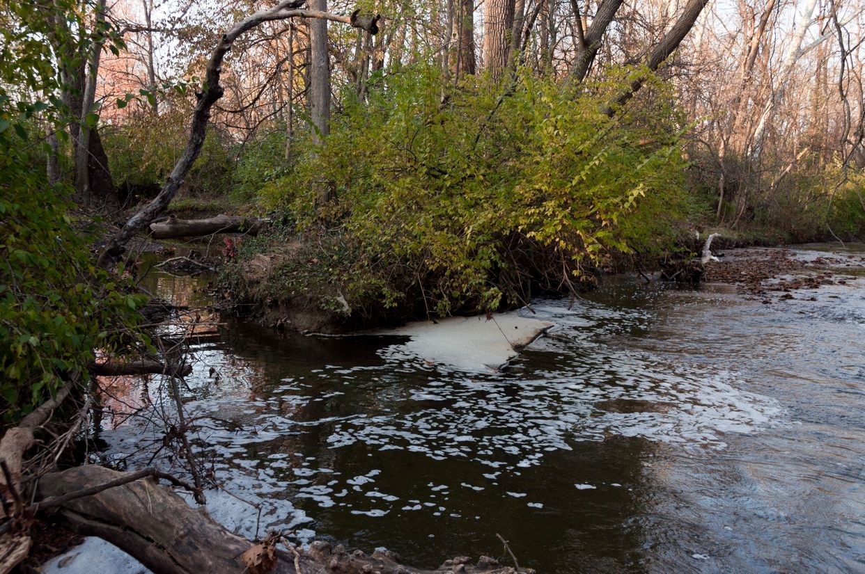 Rocky Fork Creek