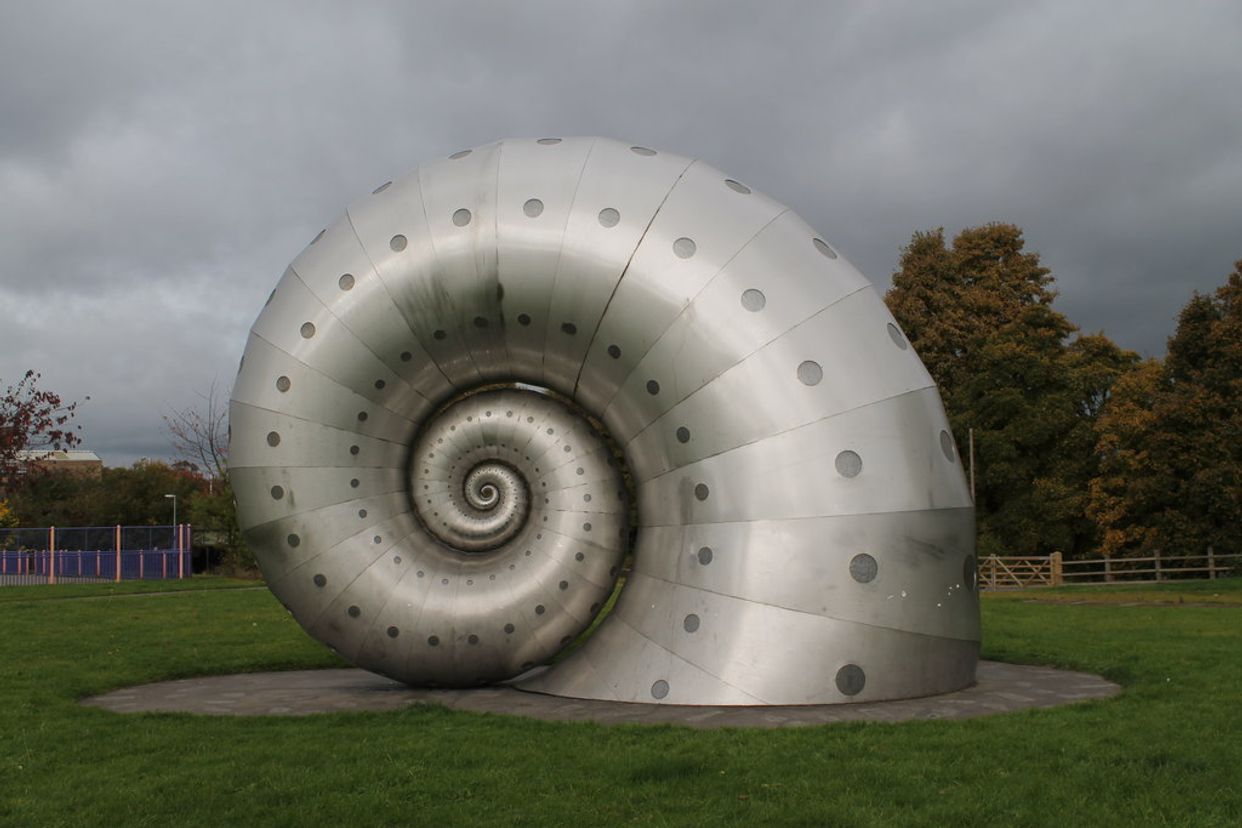 Chesterfield Snail