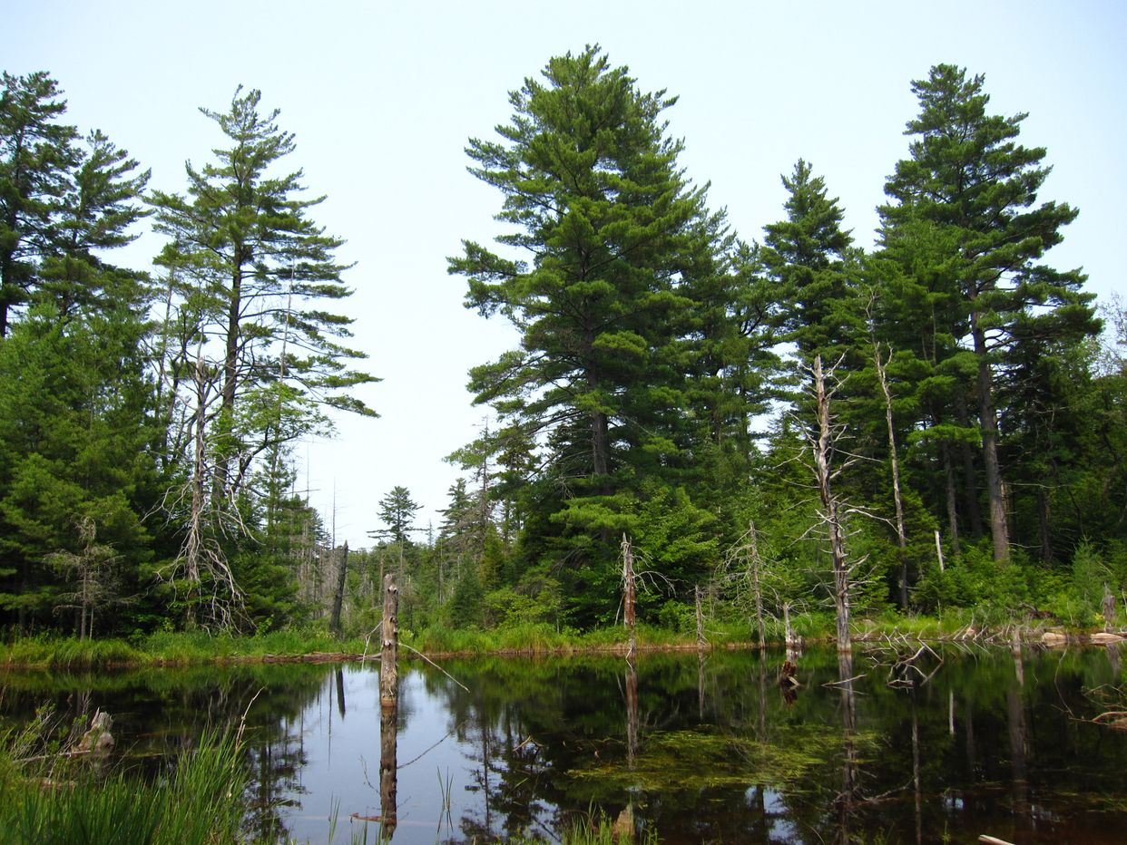 Glasby Creek