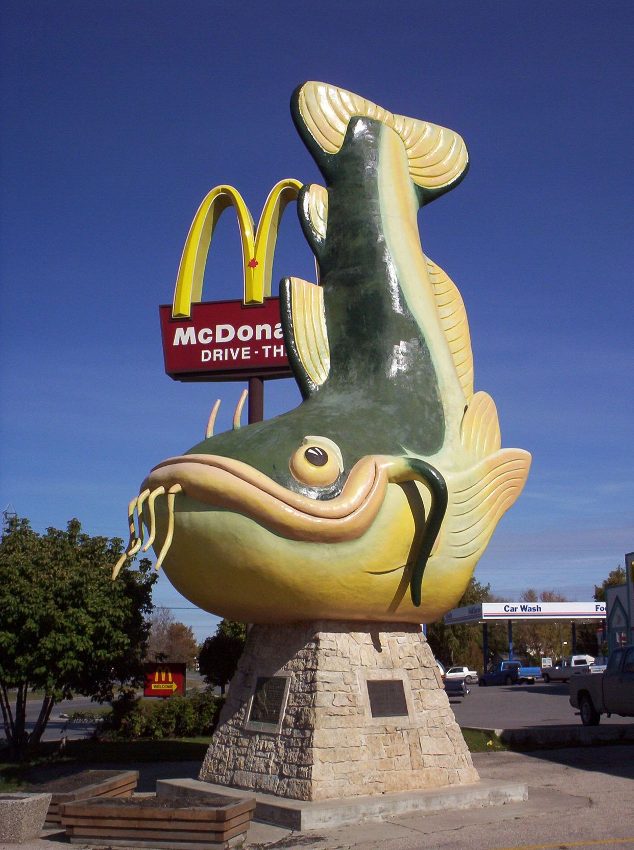 World's Largest Catfish