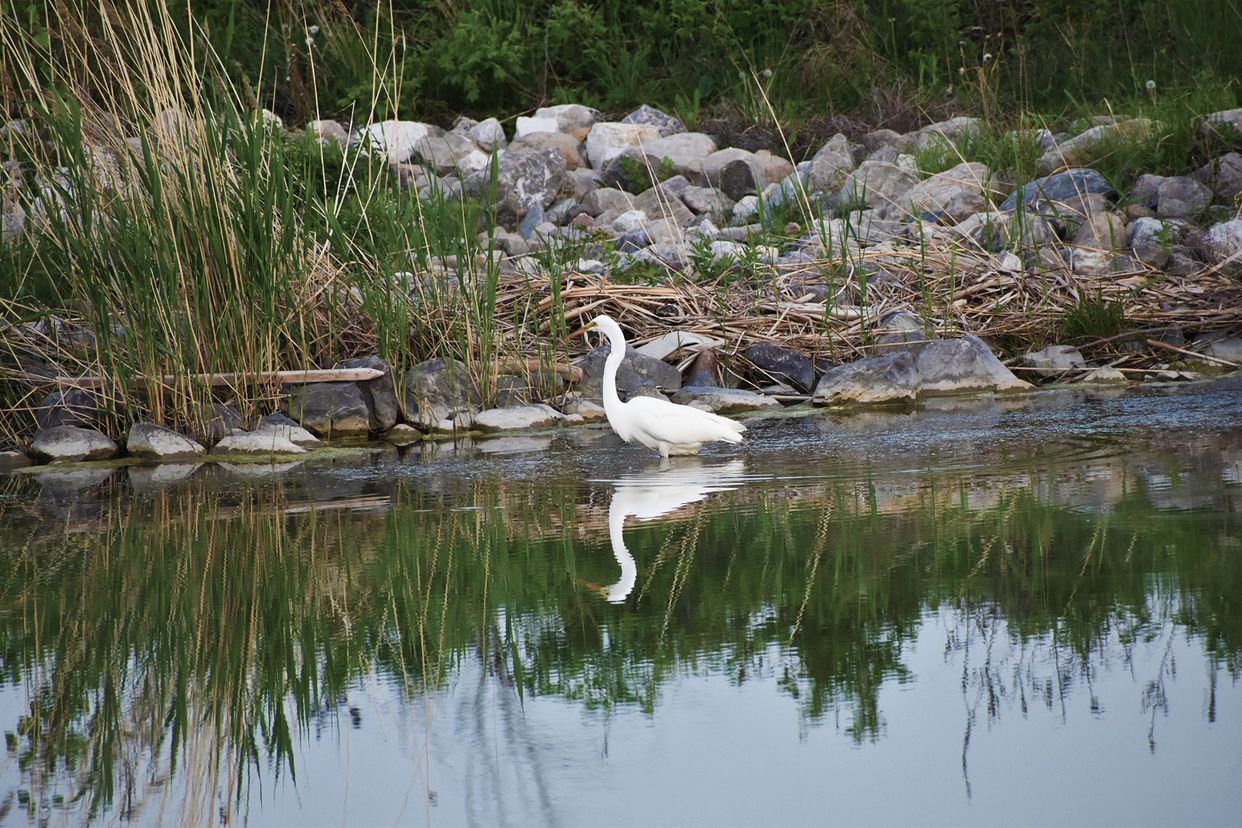 Gregory Casey Stormwater Park