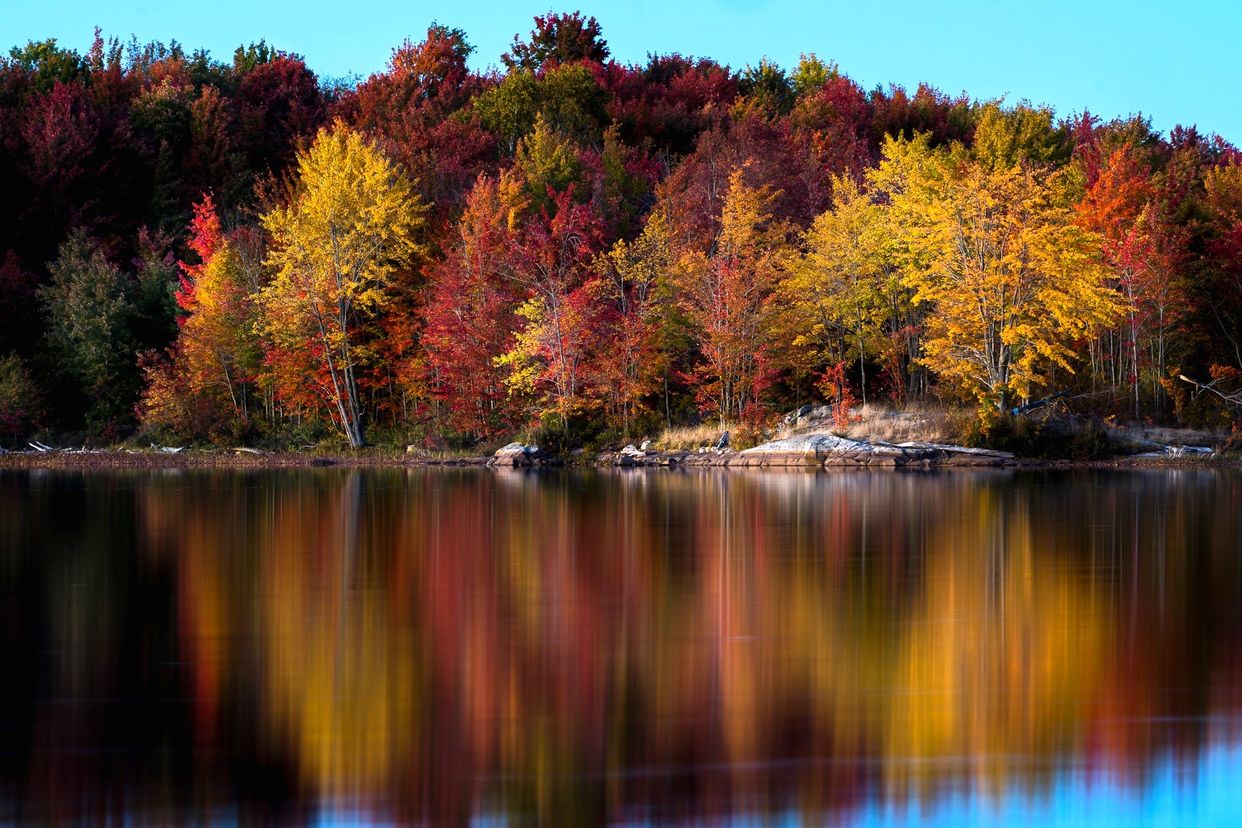 Deerock Lake Conservation Area