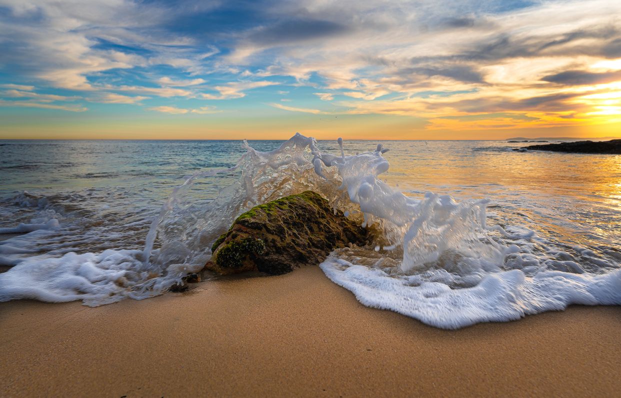 Diver's Cove