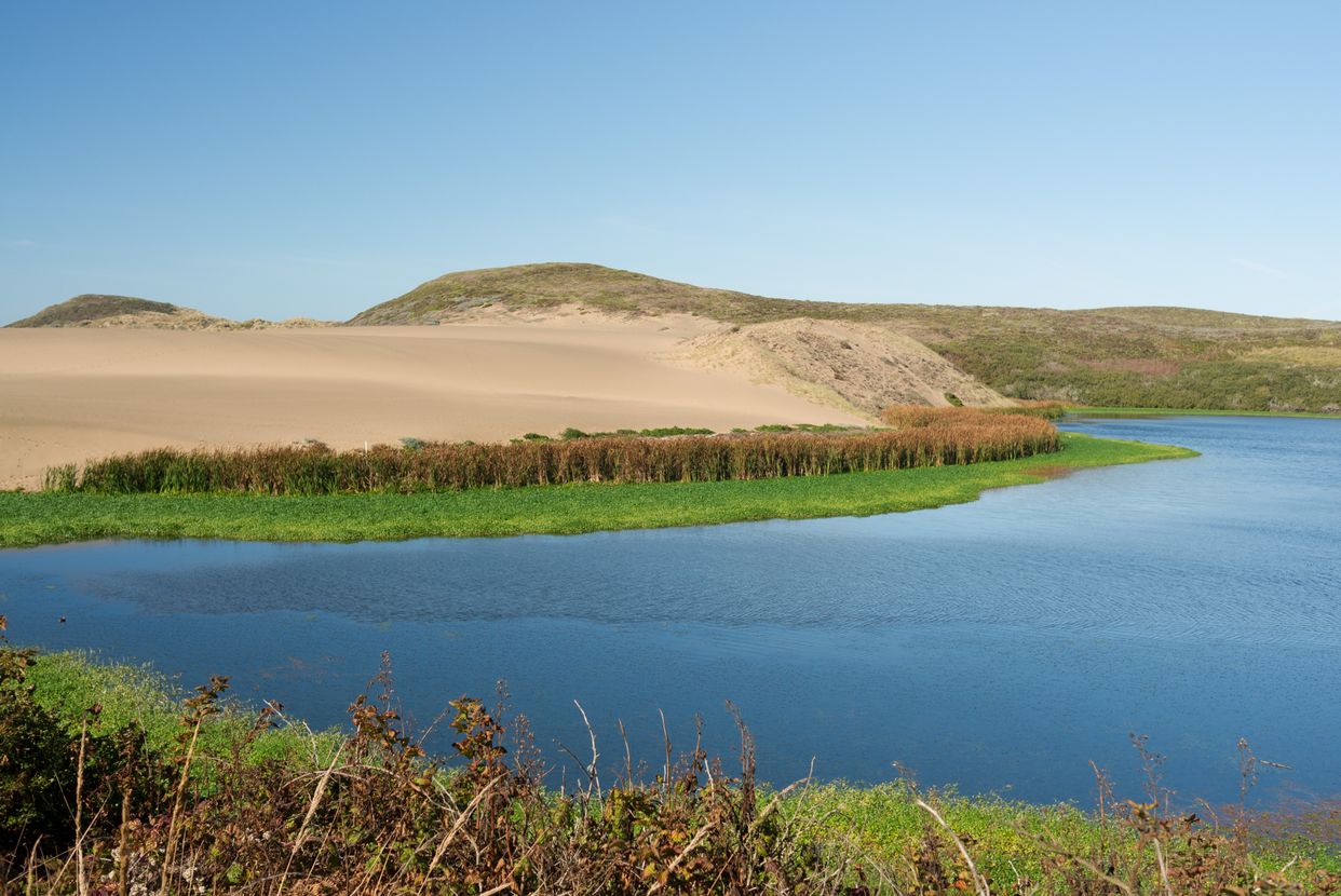 Abbotts Lagoon 