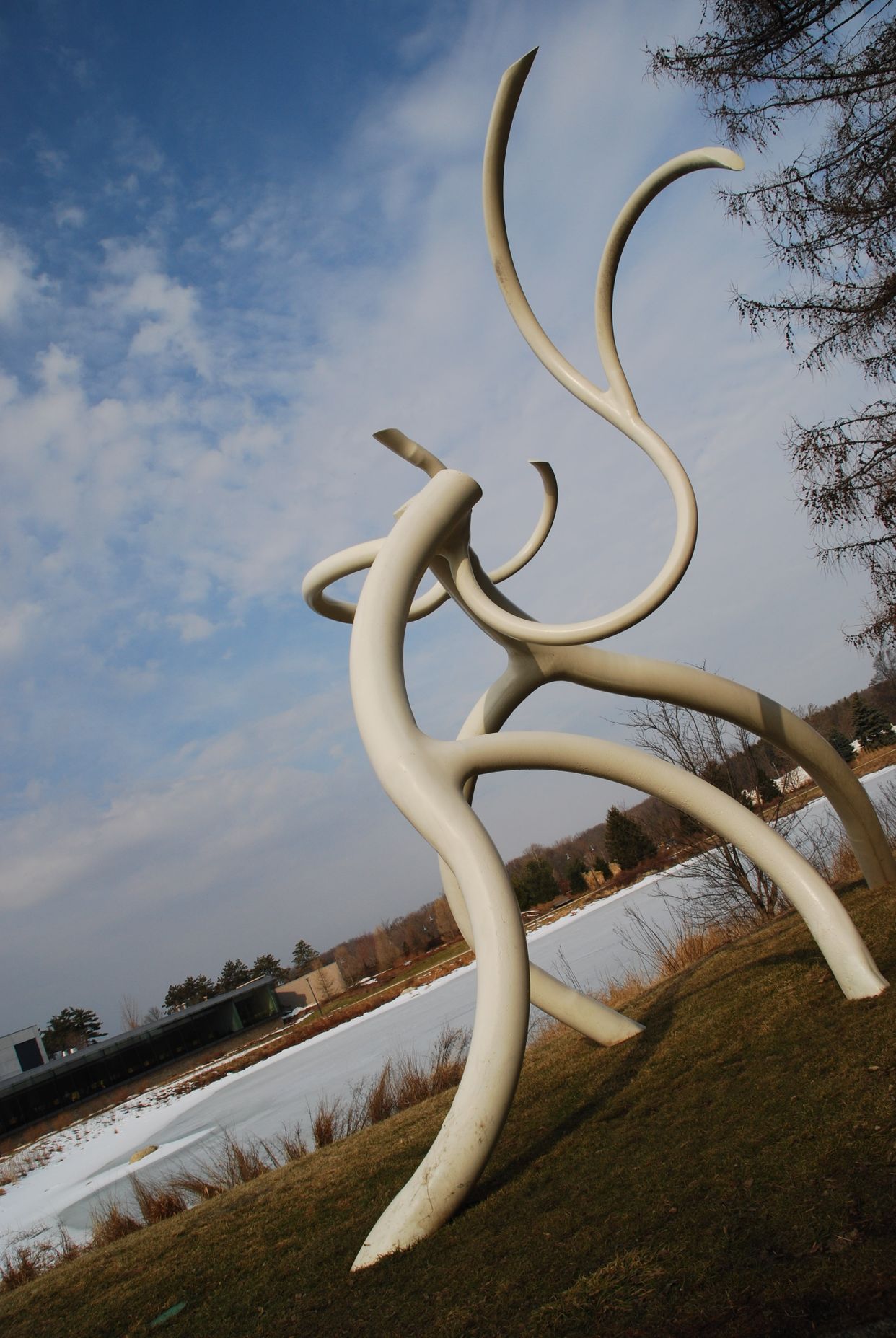 The Morton Arboretum