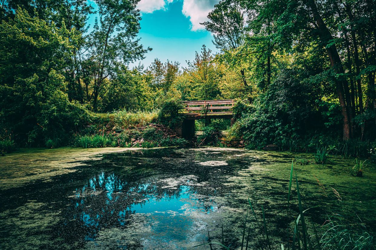 Abandoned Bridge