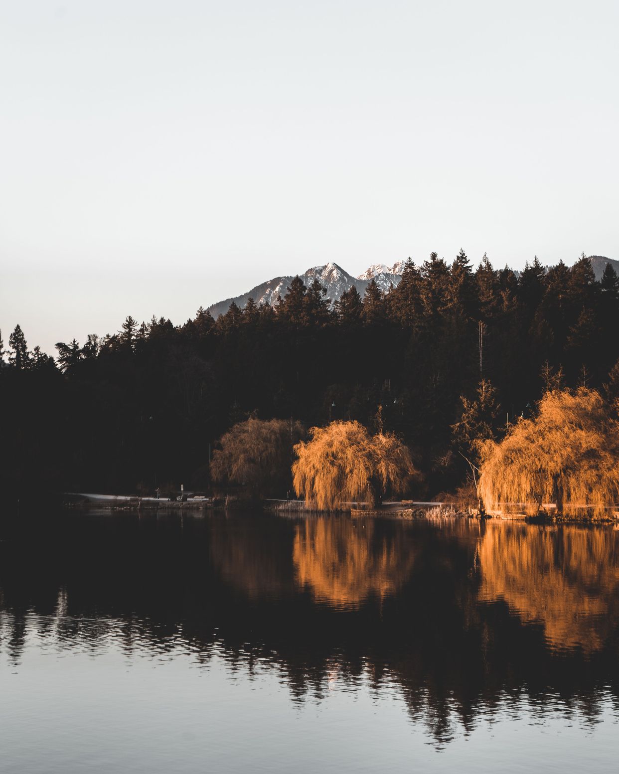 Lost Lagoon