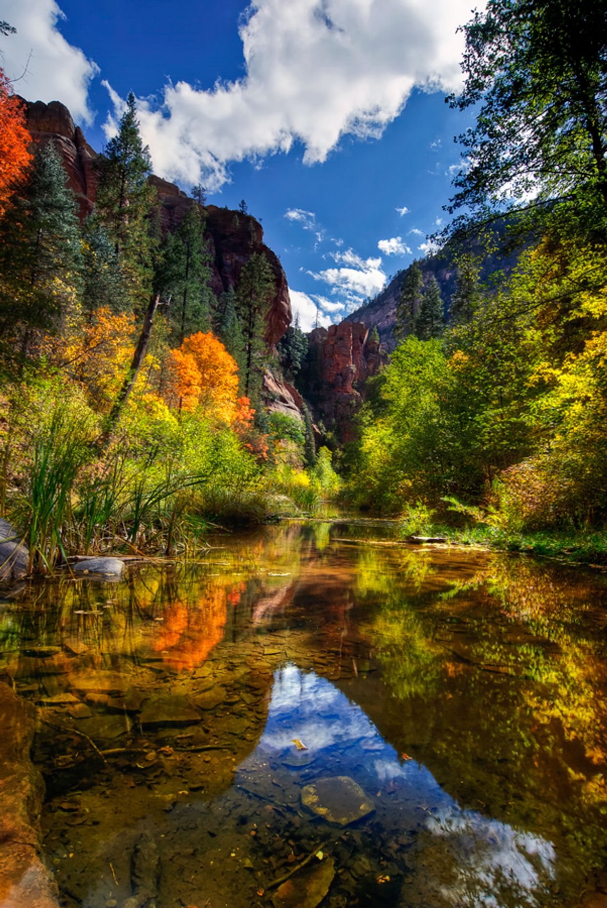  West Fork Oak Creek 