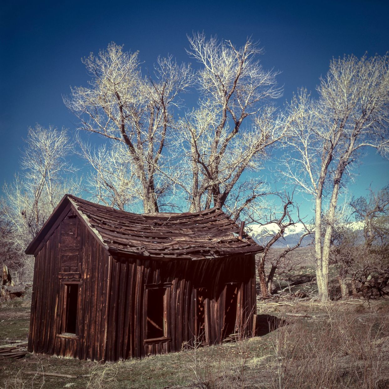 Abandoned Cabin
