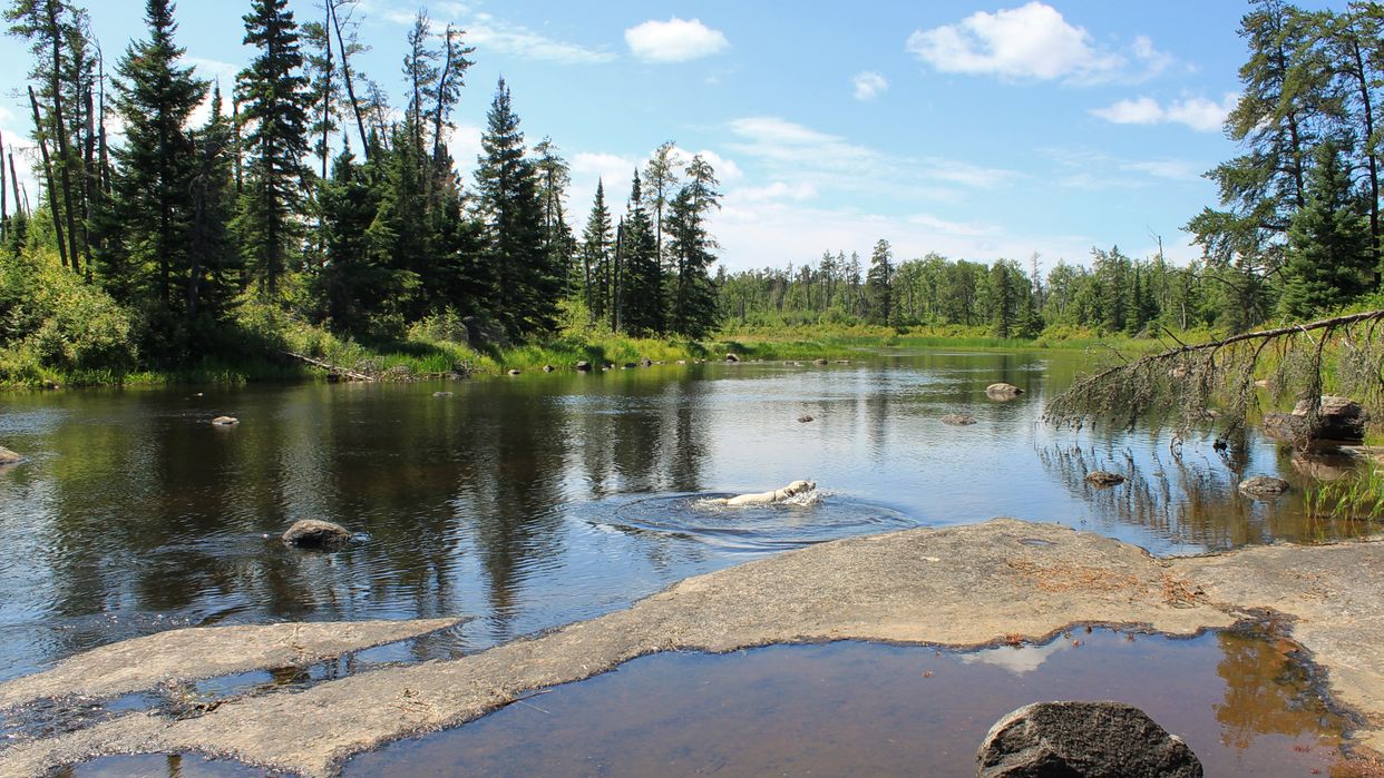 Whiteshell River