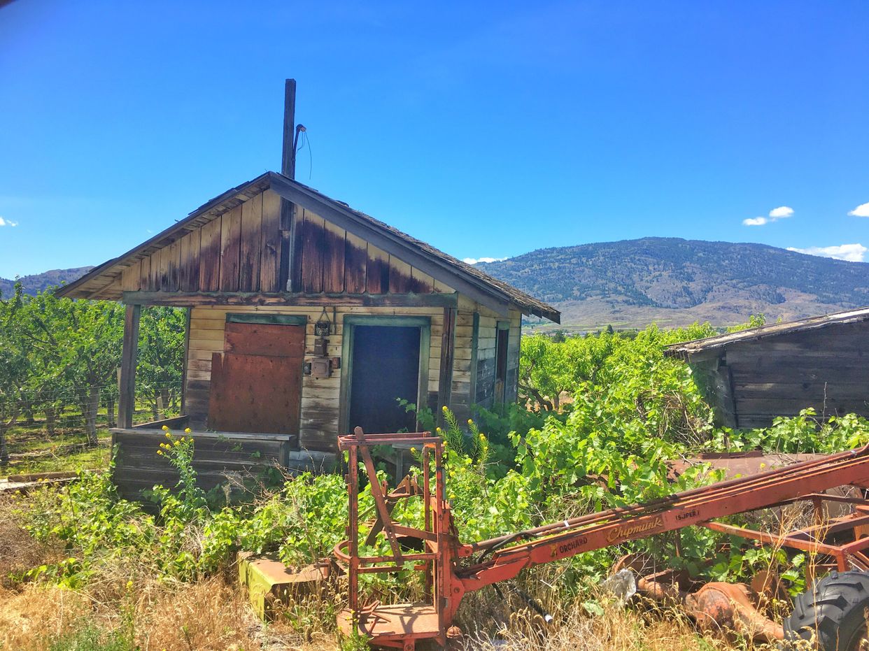 Abandoned Shed