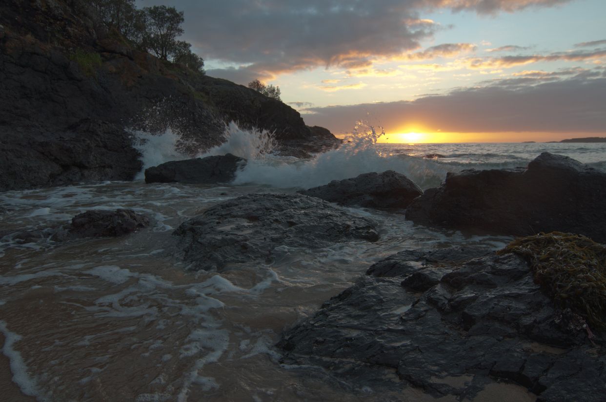 Rocky Shores