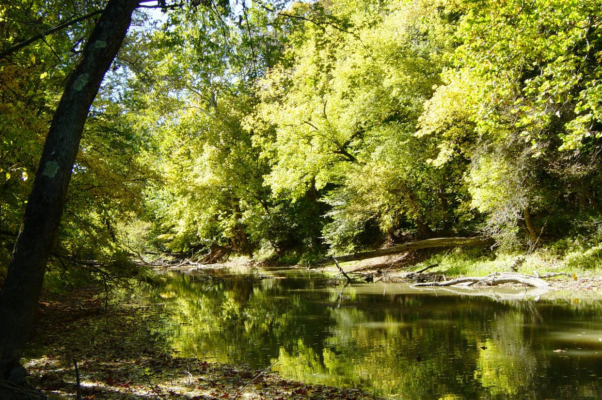 Tiffin River
