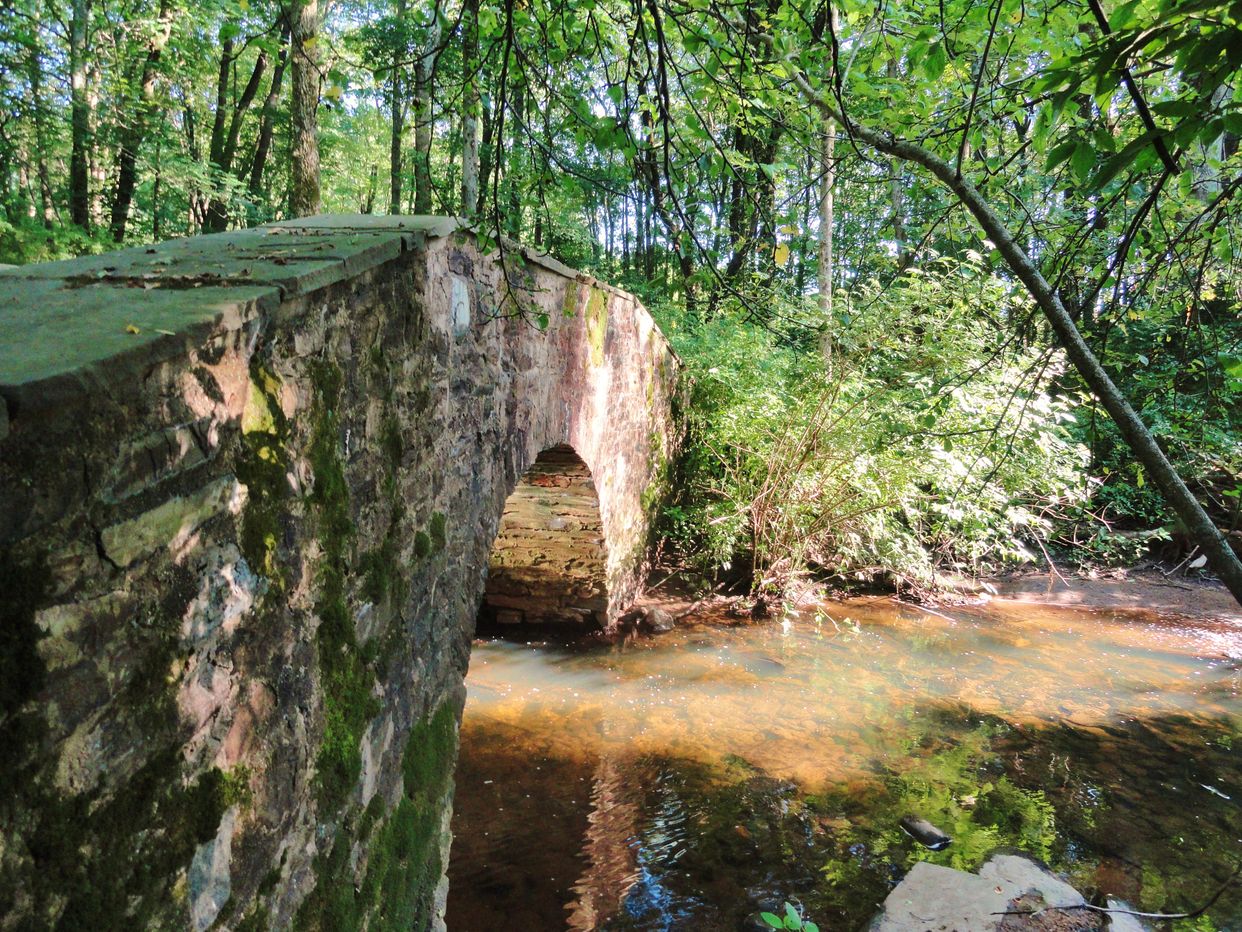 Cook Preserve