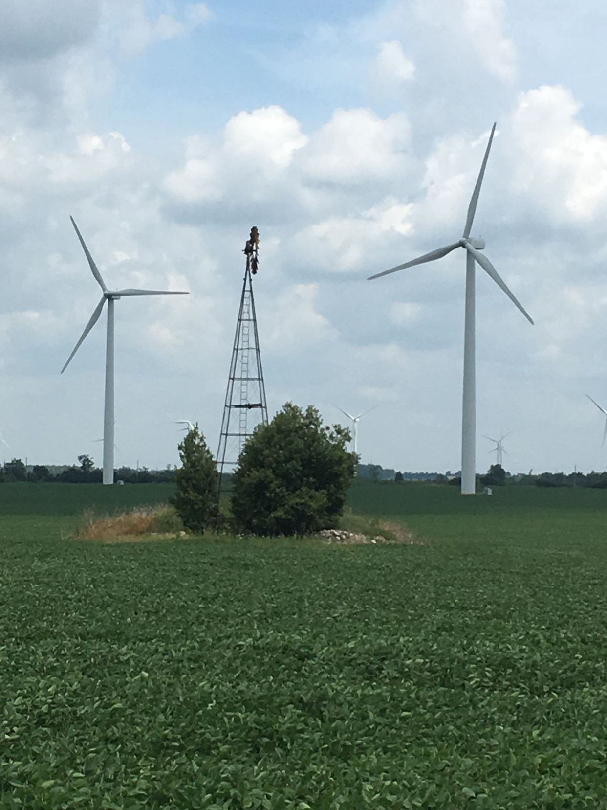 Wind Farm 