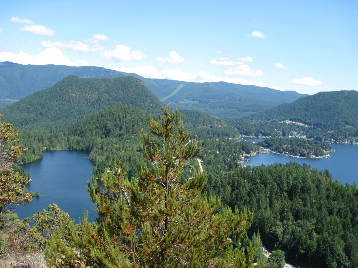 Pender Hill