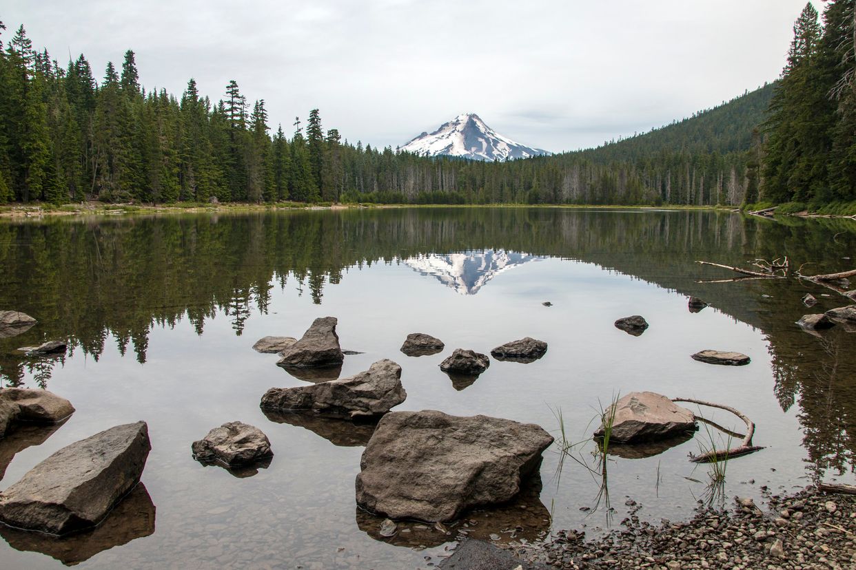 Frog Lake