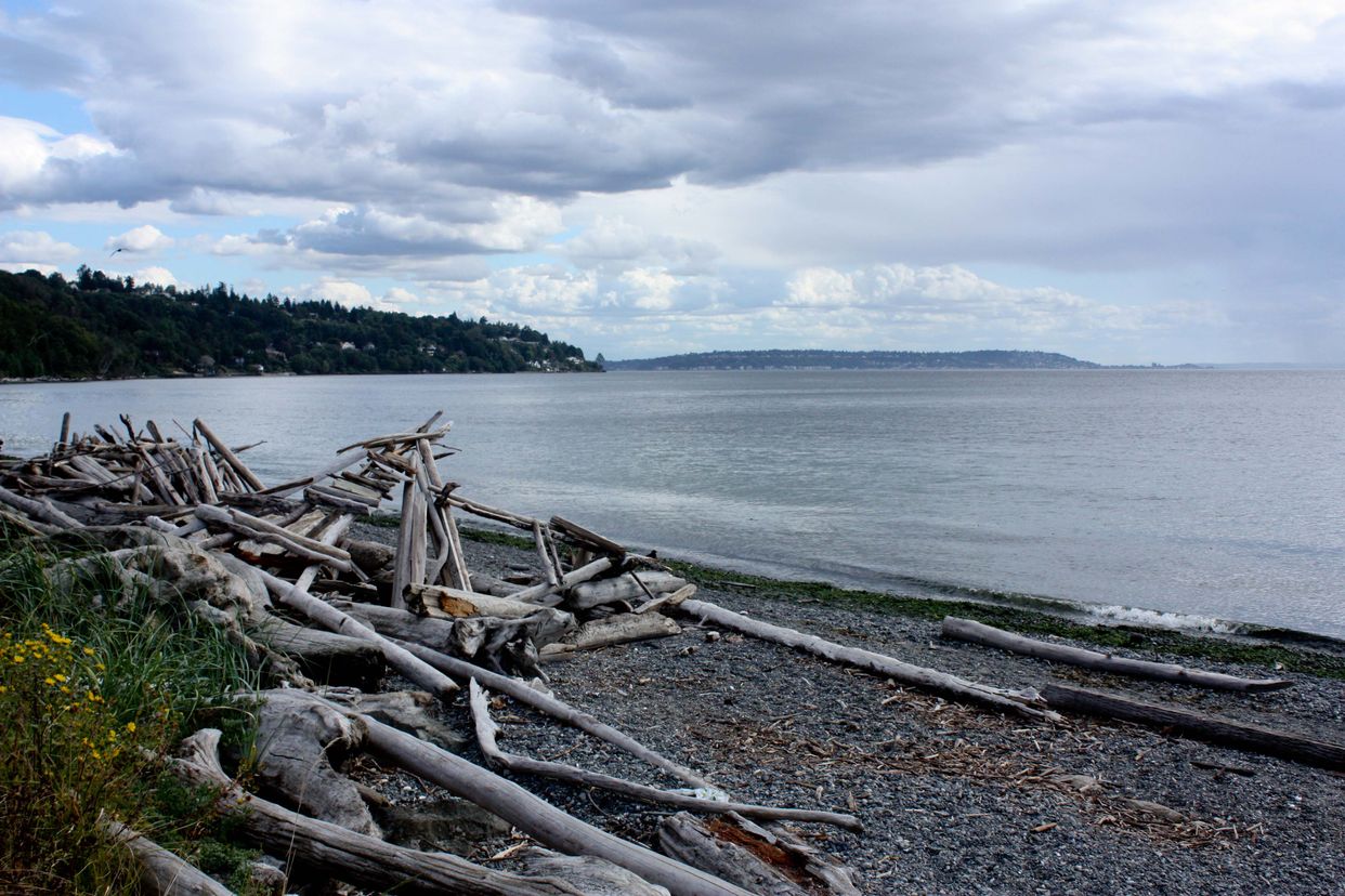 Discovery Park Beach