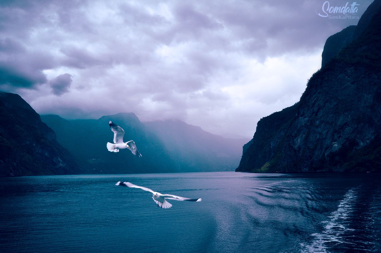 Aurlandsfjord View