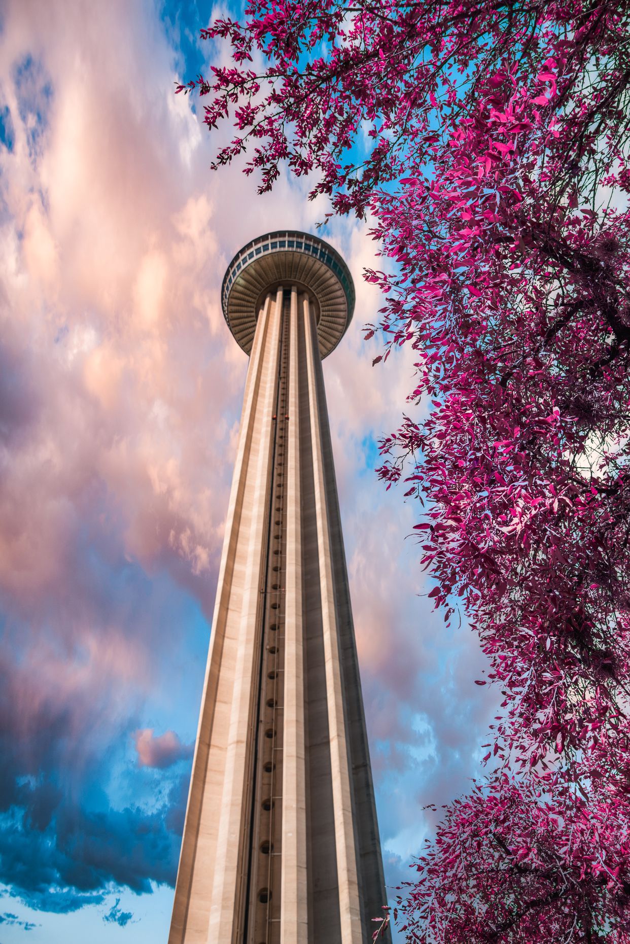 Tower of the Americas